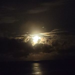 Meet your Posher, Jan